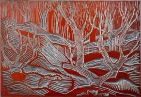 Tavaszy Noémi (1927-2018): Táj. Fém nyomódúc-klisé. Jelzett a dúcon. Tavaszy Noémi autográf feliratával ellátott papírba csomagolva. 8,5x12 cm.