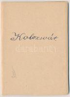 Kolozsvár, Cluj; leporellofüzet 9 képpel, papír tokban / leporello postcard booklet, with 9 images, ...