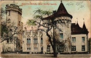 1909 Nagykároly, Carei; Gróf Károlyi kastély. Csókás László kiadása / castle (fl)