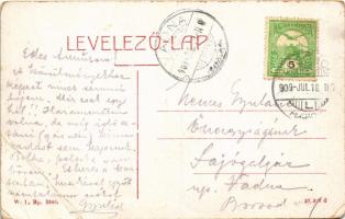 1909 Losonc, Lucenec; Városháza, László Emil, Hochfelder D. üzlete. W.L. Bp. 5946. / town hall, shop...