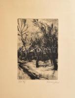 Remsey Jenő (1885-1970): Téli táj. Rézkarc, papír, jelzett, kartonra kasírozva, 29x20 cm