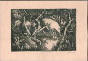 Remsey Jenő (1885-1970): Mocsaras táj házzal. Rézkarc, papír, jelzett, 19x29,5 cm