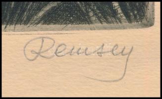 Remsey Jenő (1885-1970): Mocsaras táj házzal. Rézkarc, papír, jelzett, 19x29,5 cm