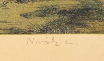 Novák Lajos (1927-1989): Itatás. Színezett ézkarc, papír, jelzett, 29×39 cm