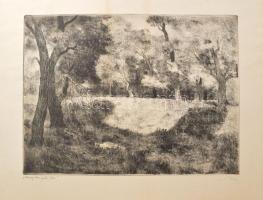 Biai-Föglein István (1905-1974): Margitszigeti fák. Rézkarc, papír, jelzett. 29x39 cm