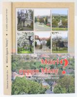 Tolnainé Szabó Eta: Miért éppen Mány. A vidék megtartó ereje. Mány, 2019. Mányi Közösségekért. 489p.. Kiadói kartonált papírkötésben