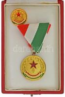 1960-1970 k. "Kiváló Pedagógus" aranyozott, műgyantás fém kitüntetés mellszalagon, miniatűrrel, gyenge állapotú tokban (31mm) T:AU