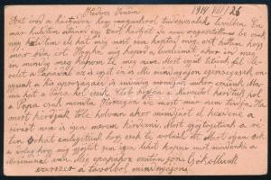 1914 Tábori posta levelezőlap, visszaküldve / Field postcard, returned "Feldpostnummer inrichti...