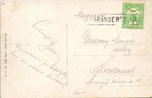 Karánsebes, Caransebes; látkép, gyógyszertár, üzletek. W.L. Bp. 1466. 1911-14. / general view, pharm...