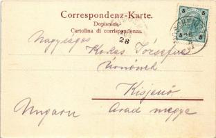 1901 Moscenice, Moschenizze, Moschiena; La piazza. Federico Cretich / Trg / tér / square (EK)