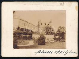 cca 1900 Sárospataki vár, kartonra kasírozott fotó, hátoldalon Wieser Miklós pecsétjével, kartonon kopásnyomokkal, 8×11 cm