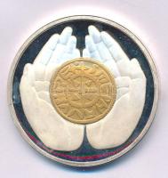 1987. "Az Állami Pénzverőben tett látogatás emlékére" ÁPV látogatói emlékérem (42,5mm) T:U...