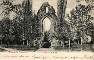 1909 Topuszka, Topusko; Opatovina. Naklada tiskare V. Jaksica / romok, park / ruins (EK)