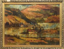 Csernó Judit (1925-2000): Sziget, 1974 körül. Olaj, vászon, jelzett, hátoldalán Képcsarnok Vállalat címkéjével. Dekoratív, sérült fakeretben. 60x80 cm