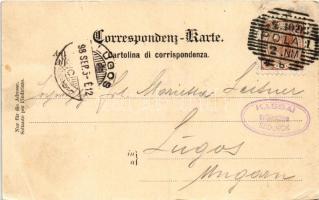 1898 Pola, Pula; Hafenpanorama. Alois Beer / kikötő, hajók / K.u.K. Kriegsmarine port (EB)