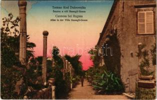 Trsteno, Cannosa (Dubrovnik, Ragusa); Villa Bassegli-Gozze Allee. I. Kulisic / villa (ázott sarok / wet corner)