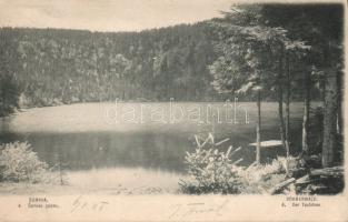 1899 Sumava, Certovo jezero / Bohemian Forest, lake