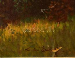 Tordai Székely Mihály (1890-1940): Virágzó park. Olaj, vászon, jelzett. Apró felületiu sérülésekkel,...