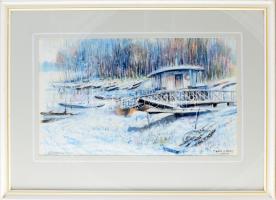 Cseh Gábor (1941-): Dunaparton, 2015. Akvarell, papír. Jelzett. Üvegezett fakeretben. 32x54 cm