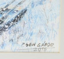 Cseh Gábor (1941-): Dunaparton, 2015. Akvarell, papír. Jelzett. Üvegezett fakeretben. 32x54 cm