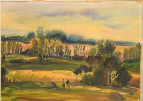 Bóka Dezső (1935-): Somogyi táj, 1970-es évek vége. Akvarell, papír, jelezve jobbra lent (paszpart által kissé takarva). Hátoldalán Képcsarnok Vállalat címkéjével. Üvegezett fakeretben, hordozó paszpartuban elmozdult. 32,5x46 cm.