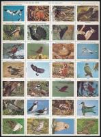 Madarak hajtott teljes levélzáró ív