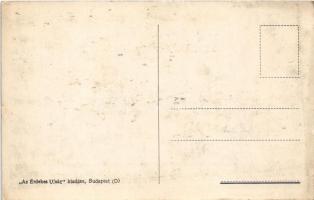 A repülő leadja jelentését. Az Érdekes Újság kiadása / WWI K.u.K. Hungarian military aircraft with p...