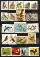 Madarak, lepkék 260 darab bélyeg, köztük sorok + 2 db blokk, 8 lapos közepes berakóban