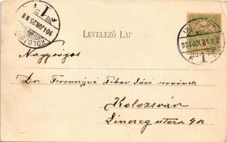 1904 Budapest IV. Újpest, Árpád út, Schwartz Teréz üzlete. Schön Bernát kiadása (EB)