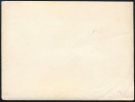 ca 1915 Az S.M.S. Körös és S.M.S. Szamos - Dunai Flottila monitorok a mólónál. Fénykép 7,5x 10 cm /
...