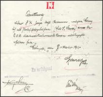 1917 Az S.M.S. Sava - Dunai Flottila monitor parancsnokának kézzel írt igazolása hajópecsétekkel

...