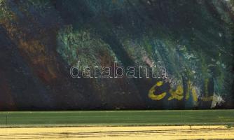 Cseh László (1914-1991): Igali táj. Olaj, farost, jelzett. Hátoldalán Képcsarnok Vállalat címkéivel....