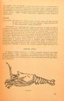 Venesz József (szerk.): Szakácskönyv. Bp., 1960, Minerva. Félvászon kötés, viseltes állapotban