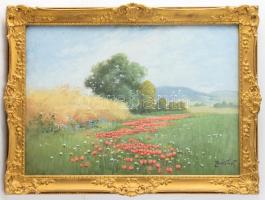 Zorkóczy Gyula (1873-1932): Virágos mező pipacsokkal. Olaj, karton, jelezve jobbra lent. Hátoldalán Szabó György Képszalonja korabeli bélyegzésével. Dekoratív, üvegezett fakeretben, 25×35 cm