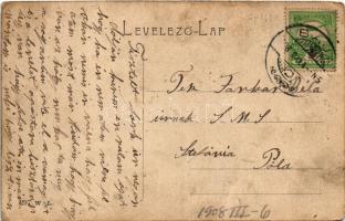 1908 Baja, Kis dunai részlet. W.L. 297. (EB)