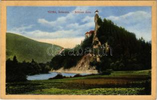 1911 Árvaváralja, Árva-Váralja, Oravsky Podzámok (Tátra, Tatry); Árva vára. Feitzinger Ede kiadása (Teschen) No. 869. / Schloss Árva / castle (EB)