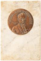 Törzsök Károly (1906-1964): Dr. Sipőcz Jenő emlékérem, kissé sérült márvány lapon, jelzett, 14x9,5 cm