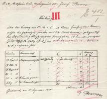 1916 Az S.M.Pb. Fogas (ex "I") - Dunai Flottila hajó: nyugta nagyon ritka hajópecséttekkel...