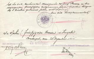 1916 Az S.M.Pb. Fogas (ex "I") - Dunai Flottila hajó: nyugta nagyon ritka hajópecséttekkel...