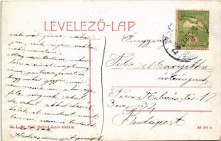 1910 Pásztó, Fő utca. W.L. Bp. 975. Hollósi Gyula kiadása (fl)