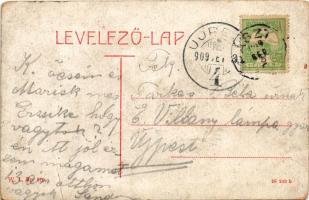 1909 Pásztó, Korona szálloda és vendéglő. W.L. Bp. 970. (fa)