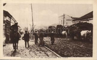 Nis main street hay carriages