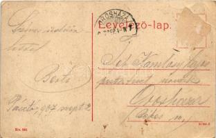 1907 Pásztó, Fő utca, üzletek. No. 961. (W.L. ?) (EB)