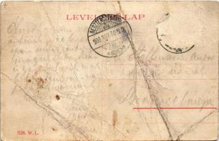 1908 Besztercebánya, Banská Bystrica; Garami részlet. W.L. 526. / Hron riverside (fa)