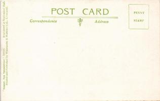 A scout is courteous. British scout postcard, humour, Winstanley &amp; Watkins: Tommy, the Tende...