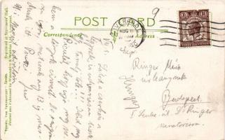1929 A scout is loyal. British scout postcard, humour, Winstanley &amp; Watkins: Tommy, the Tend...