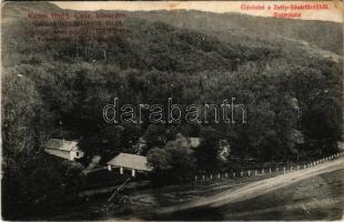 1908 Zsély, Zelovce; Sósár gyógyfürdő, madártávlat, kénes fürdő, csúz, köszvény ellen. Varga Sándor kiadása / Sosárske Lázne / spa (Rb)