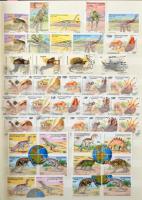 Ősállatok motívum tétel összefüggésekkel is, 8 lapos, A/4-es berakóban