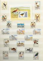 Madár motívum tétel sorokkal, blokkokkal, összefüggésekkel, 16 lapos, A/4-es berakóban