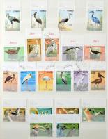 Madár motívum tétel sorokkal, blokkokkal, összefüggésekkel, 16 lapos, A/4-es berakóban